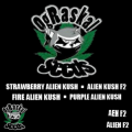 OG Raskal Seeds Alien Kush Medley Mix