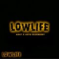 Lowlife Automatic AK47 x Auto Blueberry