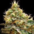 Reserva Privada Confidential Cheese
