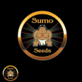Sumo Seeds AUTO Violet's Wonder