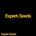 Expert Seeds Buy One Get One Free Promo