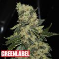 Green Label Seeds Berry Delight