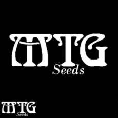 MTG Seeds Cosmic Collision