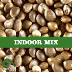 Kiwi Seeds Indoor Mix