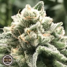 R-Kiem Seeds Sublimator