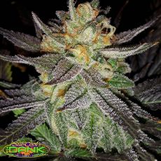 SubCools The Dank Seeds Raspberry Jelly