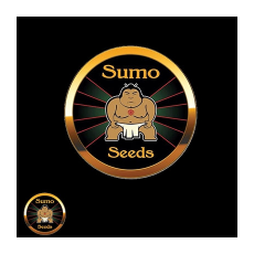 Sumo Seeds Orbital G Diesel