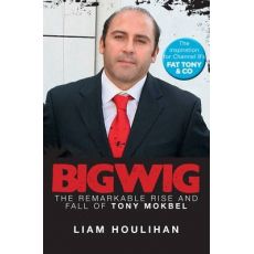 Bigwig : The Remarkable Rise and Fall of Tony Mokbel