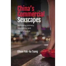 China's Commercial Sexscapes : Rethinking Intimacy, Masculinity, and Criminal Justice