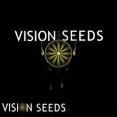 Vision Seeds Promo Pack