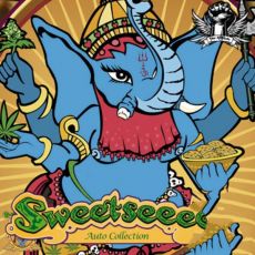 Sweet Seeds AUTO Collection