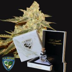 T H Seeds Birthday Cake x Strawbanana Cream