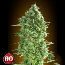 00 Seeds Do-Si-Dos Cookies