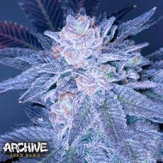 Archive Seeds Grimace OG