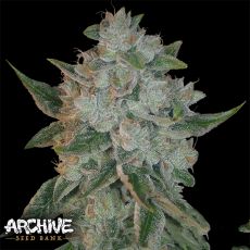 Archive Seeds Heavenly OG