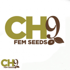 CH9 Seeds Mixed Pack 1