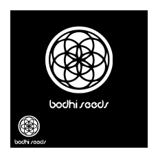 Bodhi Seeds Field Trip