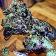 Exotic Genetix Seeds Chocolate Covered Strawberries