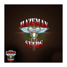 Hazeman Seeds Grape Bubba