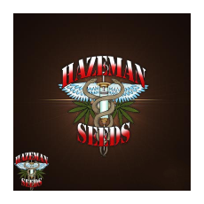 Hazeman Seeds Hippie Headband