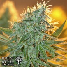 House of the Great Gardener Seeds Jean Guy