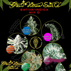 Green House Seeds Sativa Indica Mix D
