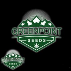 Greenpoint Seeds StarDawg BX1