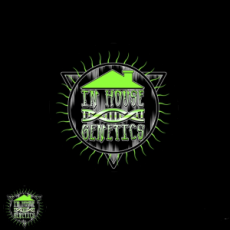 In House Genetics Hells Angel OG x PKM