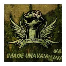 In House Genetics Black Cherry Slur-P