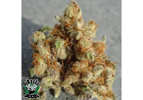 OG Raskal Seeds Fire Alien Urkle