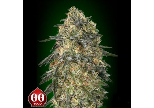 00 Seeds Gorilla