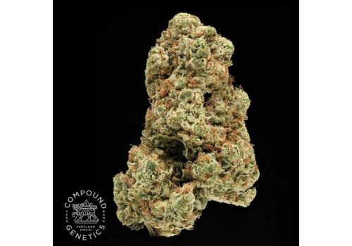 Compound Genetics Seeds Glasswork OG