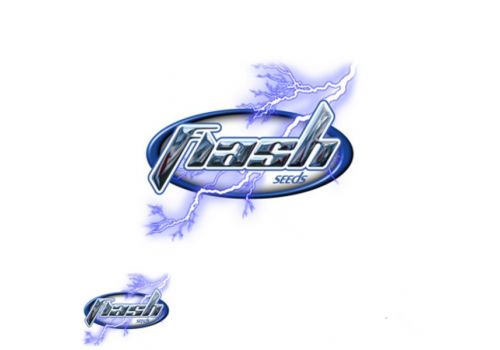 Flash Autoflowering Seeds Bubble Thai