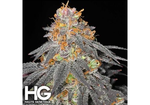 Haute Genetique Raspberry Cookies